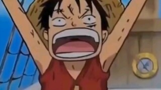 kelakuan Chopper kepada Luffy memang beda !!!🤣