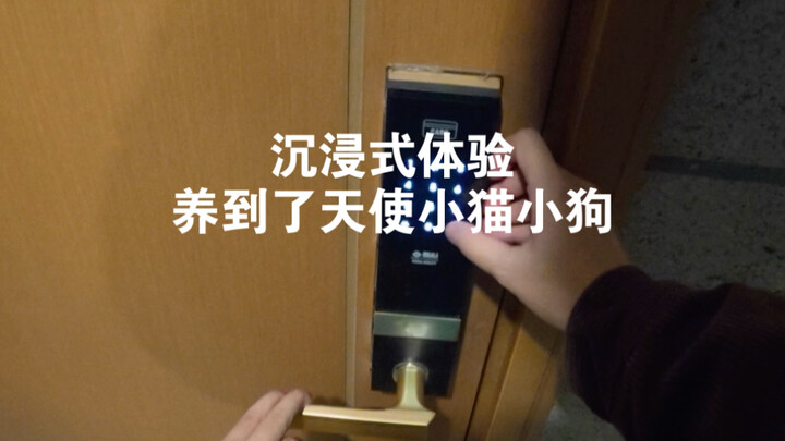 Open the door—let cute cats and dogs come in and heal your heart.