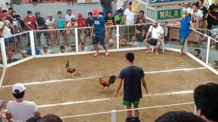 san Antonio Quezon