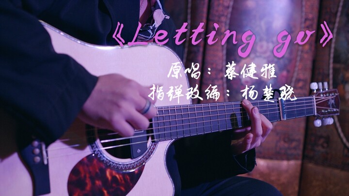 『指弹吉他』蔡健雅《Letting Go》我终于舍得为你放开手 by 杨楚骁