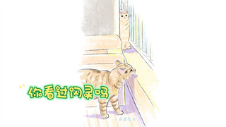 Kucing gelandangan masuk ke rumah wanita cantik