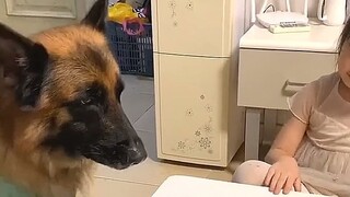 اتضح أن الأصدقاء الذين يقضون وقتاً طويلاً معاً يطورون نوعاً من التفاهم التلقائي، حتى وإن كانوا من فص