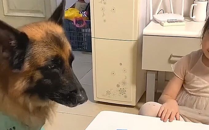 اتضح أن الأصدقاء الذين يقضون وقتاً طويلاً معاً يطورون نوعاً من التفاهم التلقائي، حتى وإن كانوا من فص