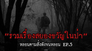 รวมเรื่องสยองขวัญในป่า ฟังยาวๆตอนไปแคมป์