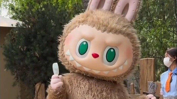 Would you like to visit the Labubu theme park?