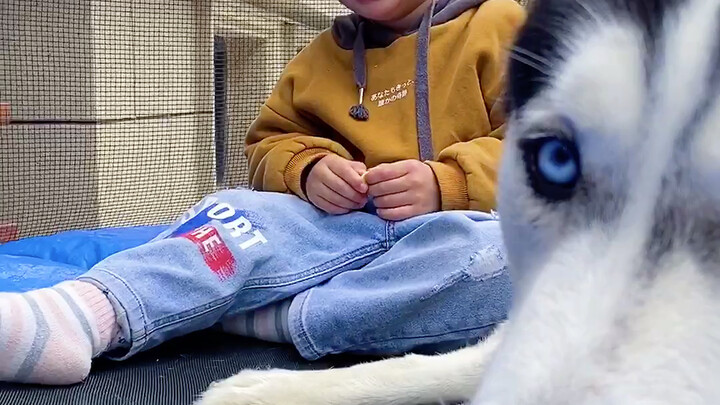 Đứa trẻ mắc chứng ám ảnh sạch sẽ, các bạn xem phản ứng của bé khi bị chó hôn một cái đi haha!