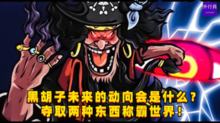 黑胡子未来的动向会是什么？夺取两种东西称霸世界！#1249