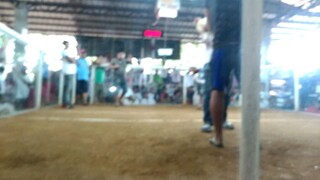 2x whitey! champion na daw sila