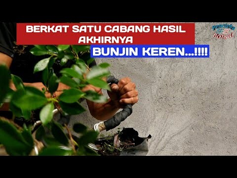 Tidak sesuai ekspektasi tapi untuk hasil akhirnya mantap juga..!!!
