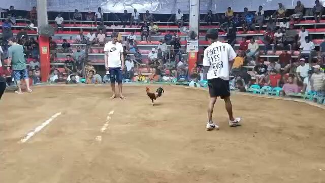RMC Gamefarm WPC Alimodian Elims 1