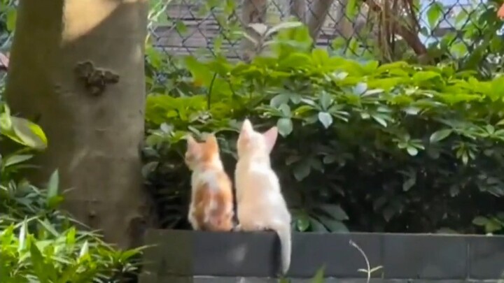 “Aku dan kamu memang yang terbaik di dunia”