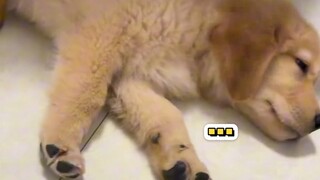 Family members watching this on screen—what should I do now that my attempt to wake up my mom ended 