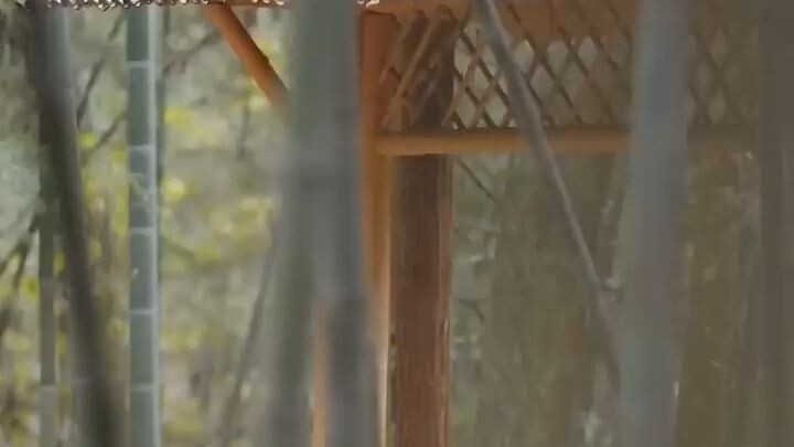 A crippled youth betrayed by his fiancée awakens demonic power and rises to crus