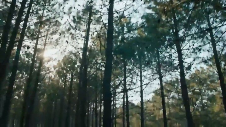 Kar3