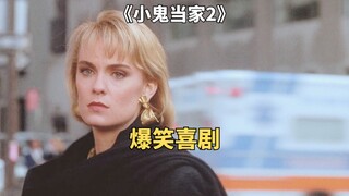 熊孩子设下连环陷阱，智斗俩笨贼《小鬼当家2》