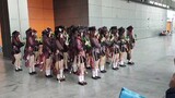 【miyosummer】When a group of coser shakes in walnuts (with bgm)