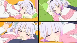Kangna-chan đang ngủ~AWSL~