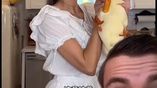 鸭汤
