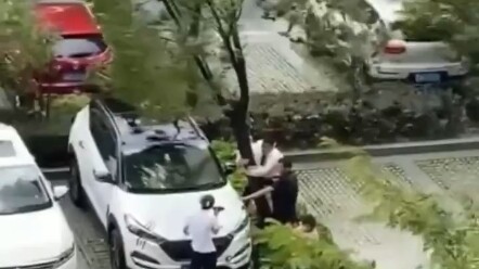 Giữa gió lớn, hai người đàn ông ôm cây che xe: Dân mạng: Chẳng phải bảo vệ thì cũng là nhân viên bảo