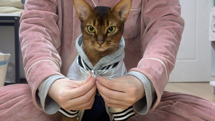 Trời lạnh rồi! Nhiệt độ giảm rồi! Mi lại có quần áo mới để mặc rồi!