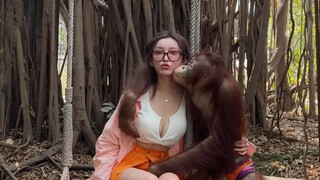 I'm really envious of a monkey.