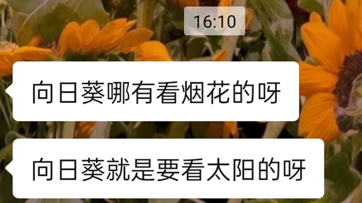 Super Sweet Story! A Girlfriend Who Fell From the Sky? So. Freaking. Sweet!