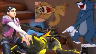 Cat and Mouse Contract.mp4