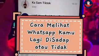 cara melihat wa disadap atau tdk