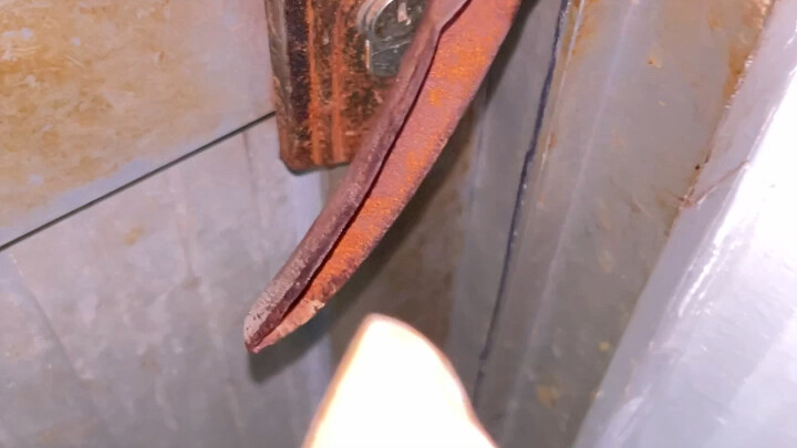 If the door handle of the dormitory toilet has tetanus tomorrow, I won't broadcast it.