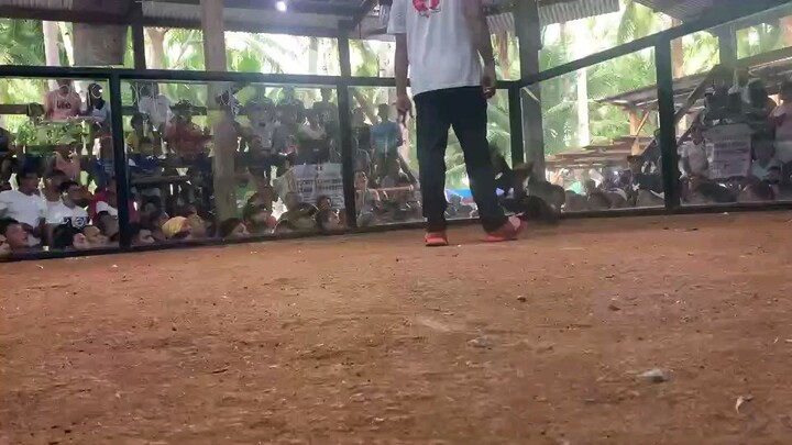 2nd fight loss..#highlights