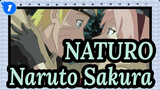 NATURO|[MAD] Naruto &Sakura_1