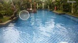 Berenang santai di halaman rumah