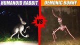 Humanoid Rabbit vs Demonic Bunny | SPORE