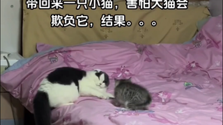 就稀罕这股窝囊样