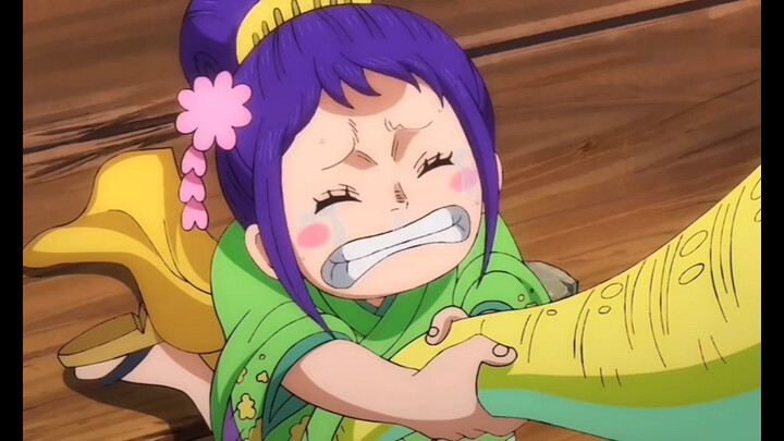 “就算是残酷的海贼世界也讲仁义”