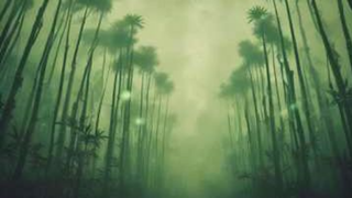 丝与钢 (Sī yǔ Gāng) Silk and Steel