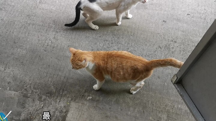 Dù có nảy ra ý nghĩ xấu với cô hàng xóm đang mang thai ở tầng dưới thì cũng không được thực hiện đâu