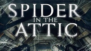 Spider in the Attic