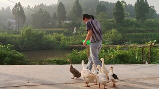 Tôi không tin nổi! Tôi thức dậy lúc 5:36 sáng và là người dậy muộn nhất trong làng!