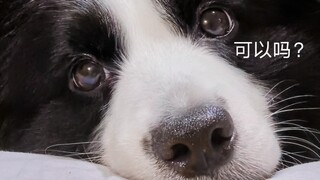 "Bisa aku coba tidur sebentar di tikar baru yang sejuk itu? Hanya sebentar saja!"