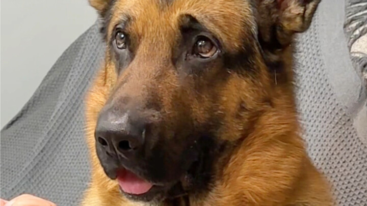 Apa bedanya ini sama nol poin dalam ujian terbuka?