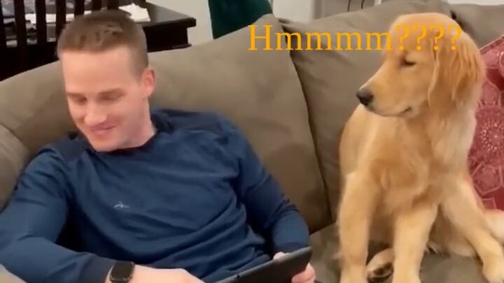 Funny Dog