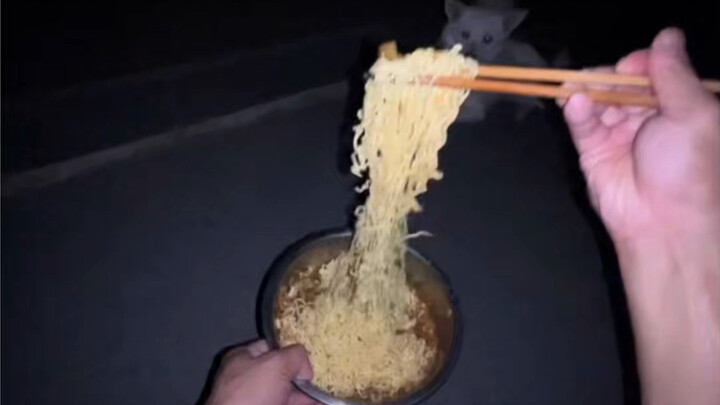 Mengairi sawah sampai larut malam, cepat-cepat makan seadanya lalu tidur saja #videoorisinal #mencat