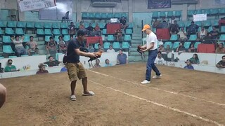 4stag derby 4th fight win. Champion