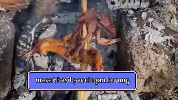 masak burung pancingan #2