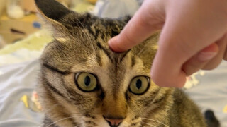 This little gadget is really interesting—once you start raising it, it never makes a peep!