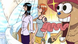 [One Piece]Kehidupan sehari-hari yang lucu dan bahagia[99]