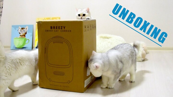 UNBOXING! Breezy smart cat carrier