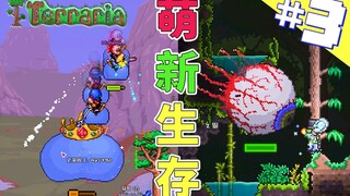 Terraria Survival 3