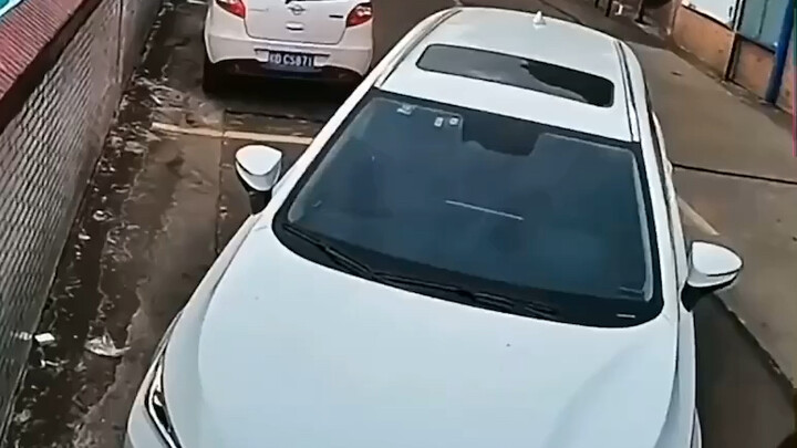 I knew the instructor was holding out—didn’t teach us parallel parking, did they?